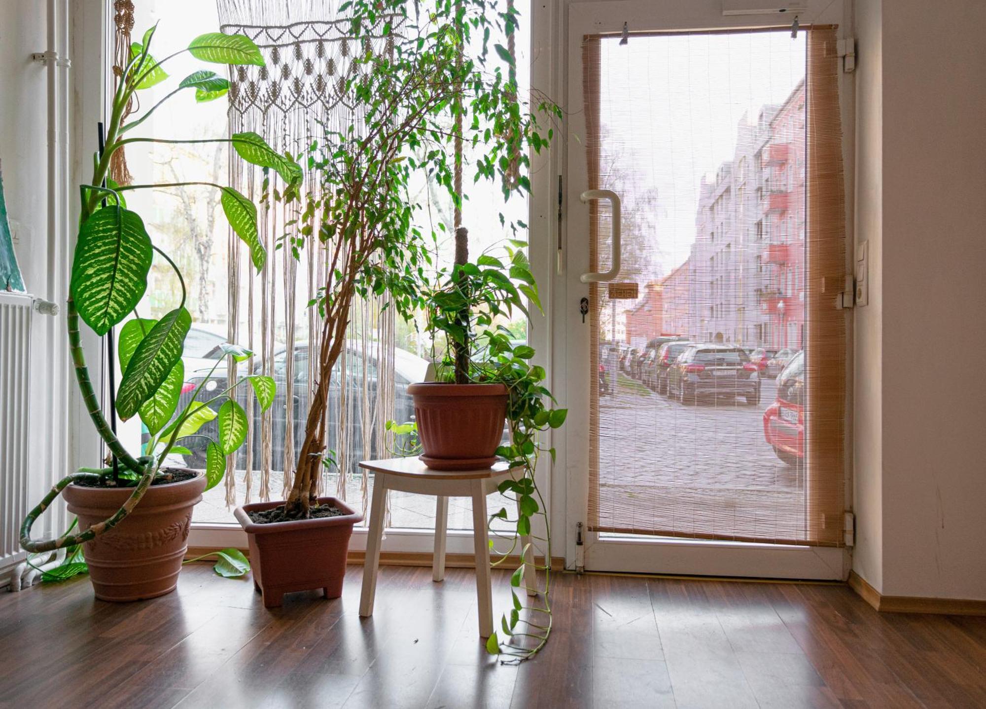Apartamento Boutique Altbau